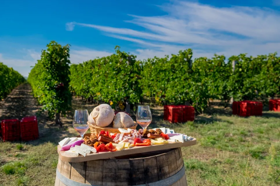 Dégustation de vin rouge dans un vignoble roumain - photo © iStock-CalinStan