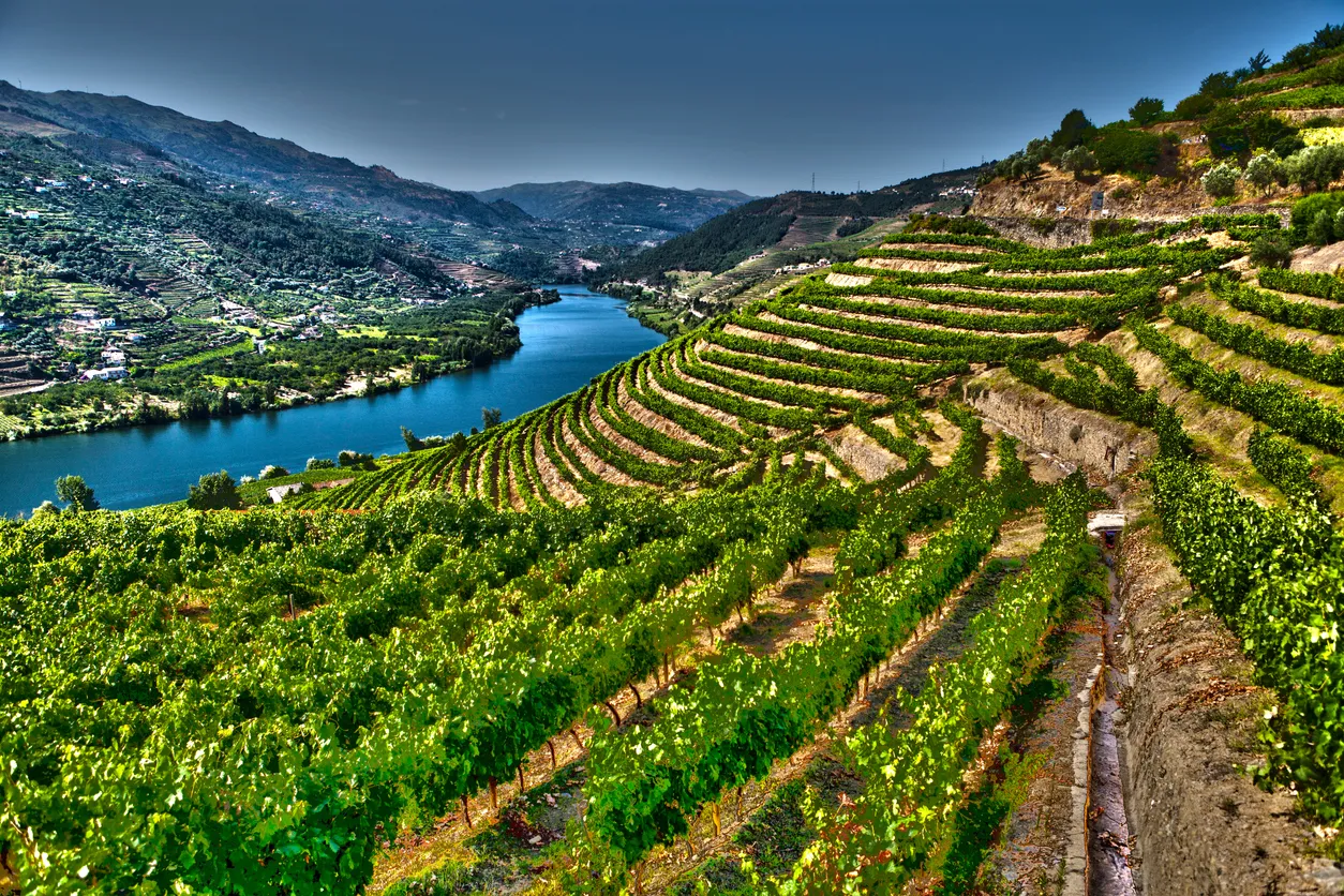 Vignoble de la vallée du Douro  © iStock / LuisPortugal