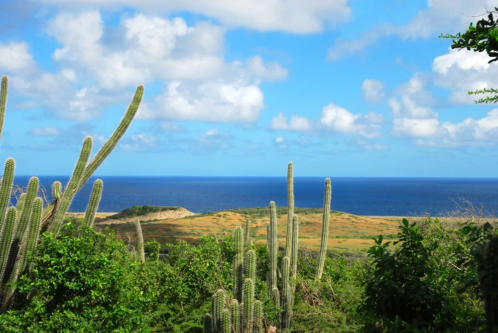 Shete Boka Park, Curaçao | © Paulina Lenting-Smulder
