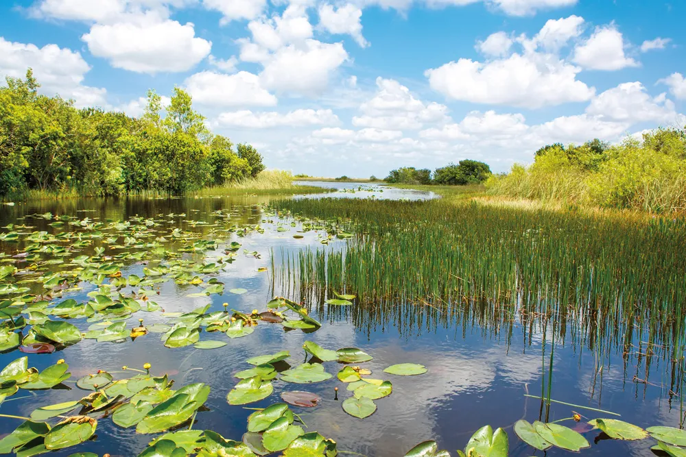 Everglades National Park. | © iStockphoto.com/romrodinka