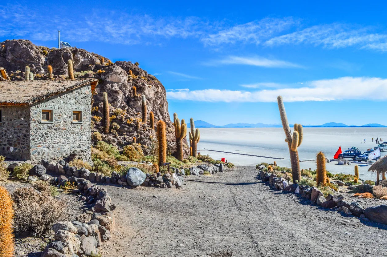 Vue sur le Salar d’Uyuni depuis l'île del Pescado (Bolivie)