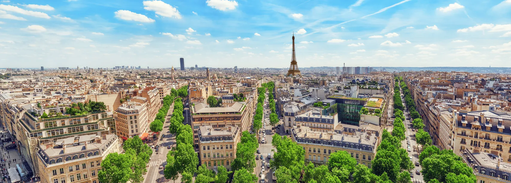 Vue sur Paris depuis le toit de l'Arc de Triomphe © iStock / VitalyEdush