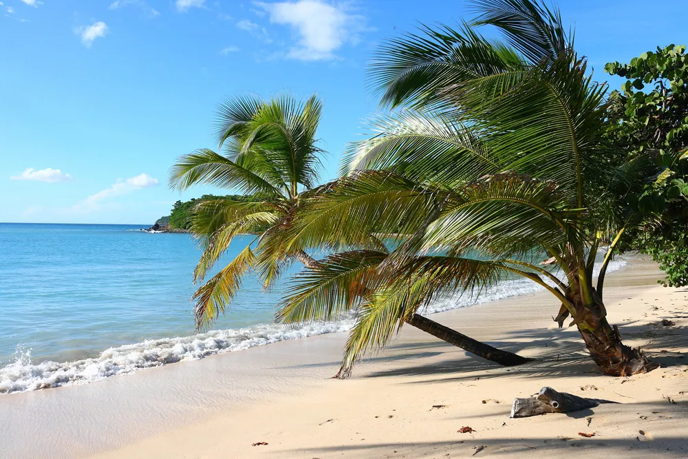 Plage des Caraïbes | © happytrip