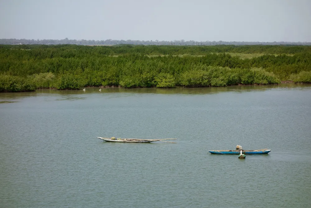 Fleuve Casamance, Sénégal | © Travel_Nerd