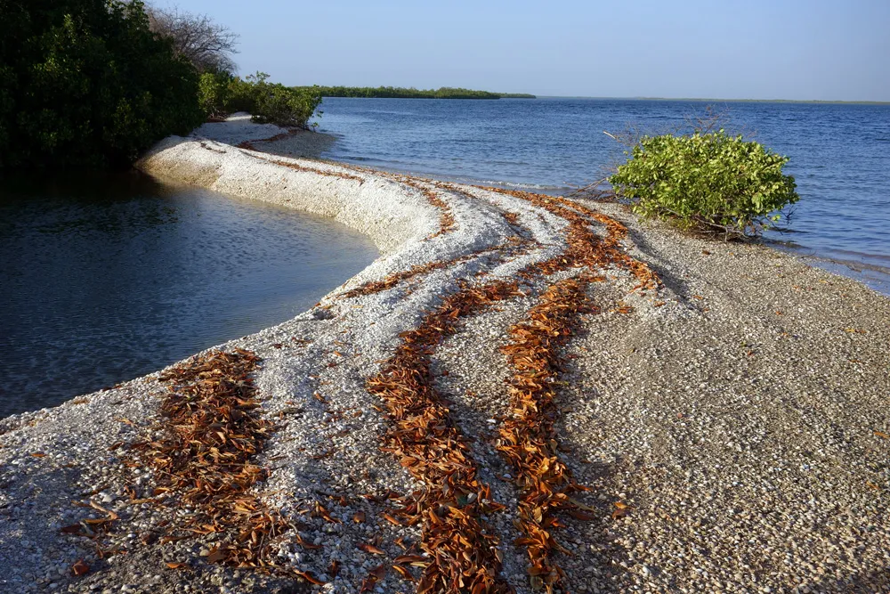 Îles de coquillages dans le delta du Sine Saloum, Sénégal | © Travel_Nerd