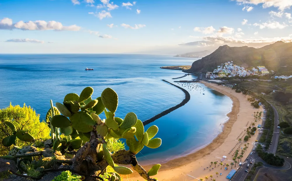 Las Teresitas, Santa Cruz de Tenerife, Canaries  
Photo © iStockphoto - Elena-studio  
