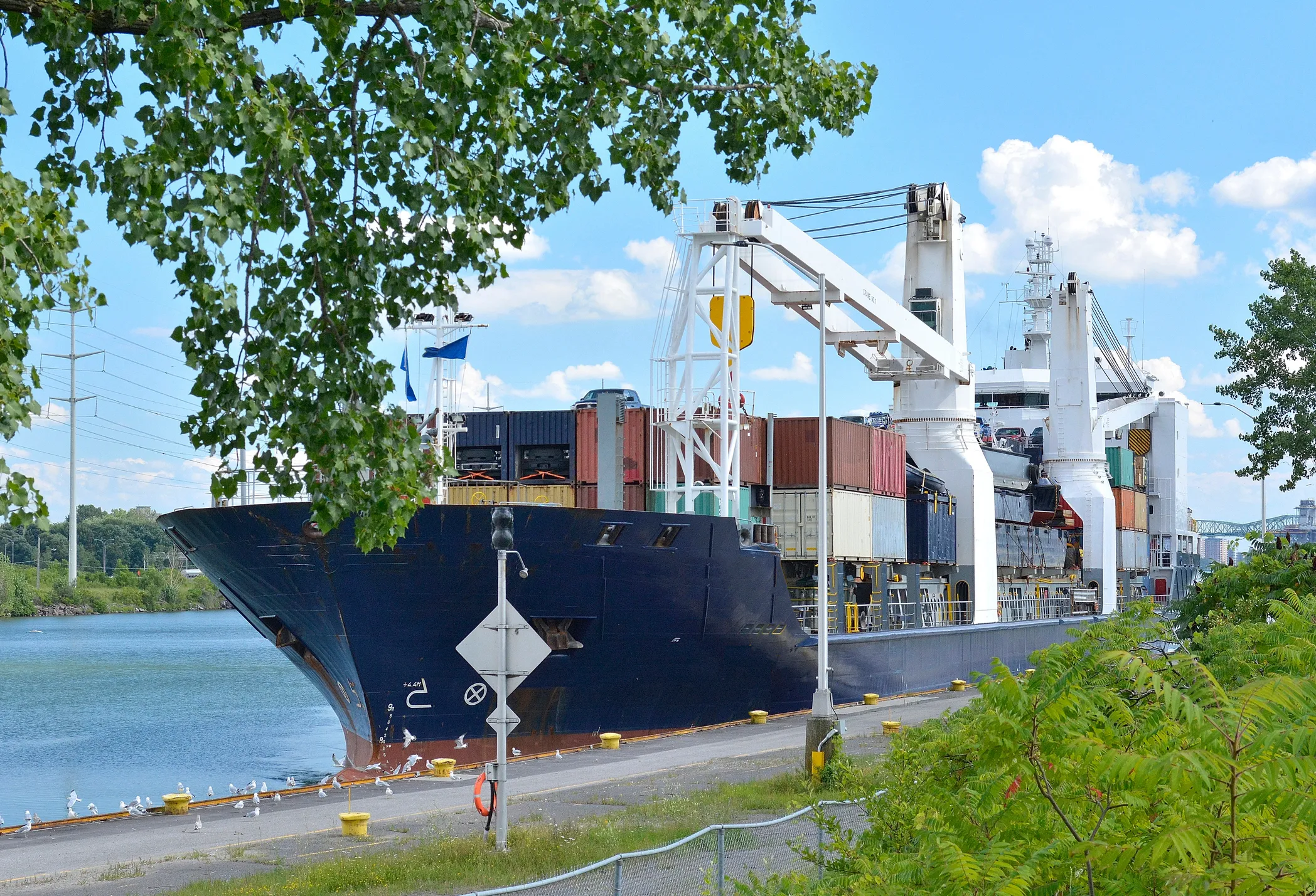 Un cargo dans la voie maritime du Saint-Laurent près de Montréal.  ©  iStock / ziggy1