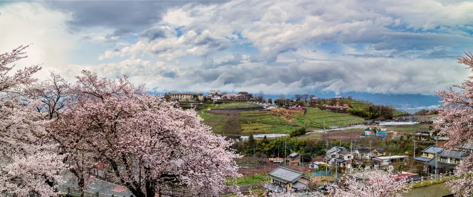 Vue panoramique sur Katsunuma et ses environs - photo © iStock-Peter Austin