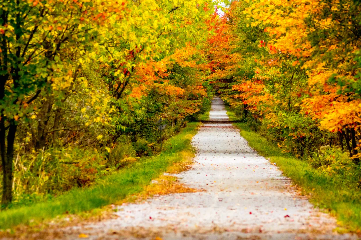 Piste cyclable en gravier dans les Cantons de l'Est. ©  iStock / SOPHIE-CARON