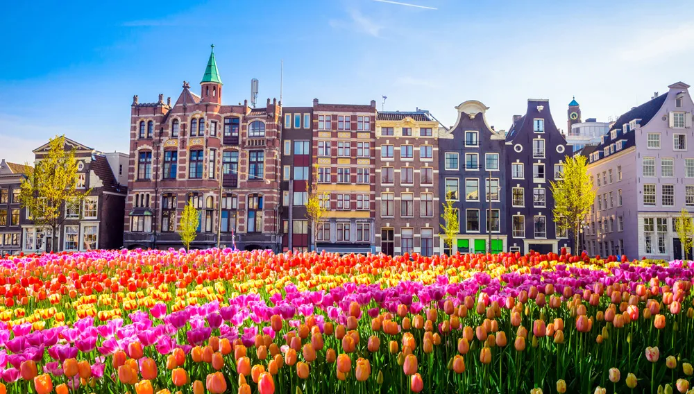 Amsterdam, Pays-Bas | © Olena_Znak