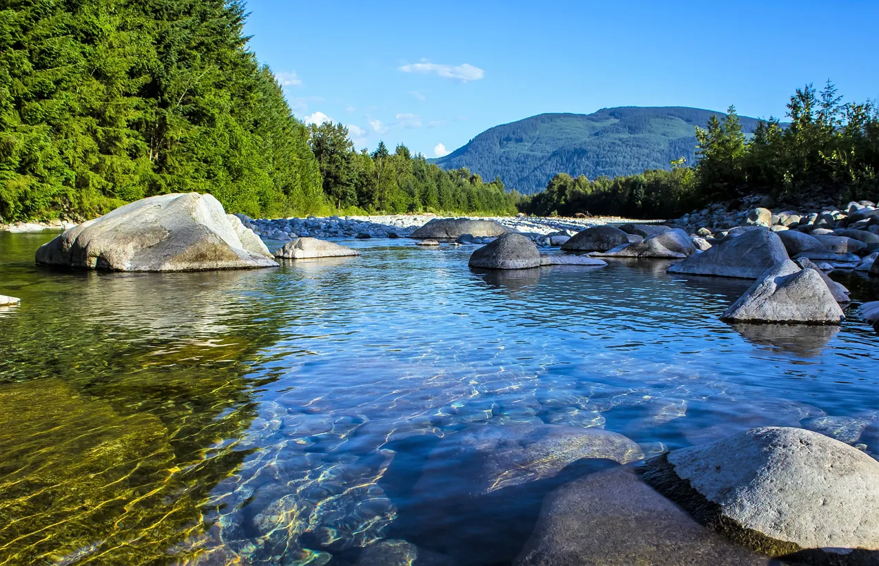 Le fleuve Fraser en Colombie Britannique © iStock / ChristinaPrinn