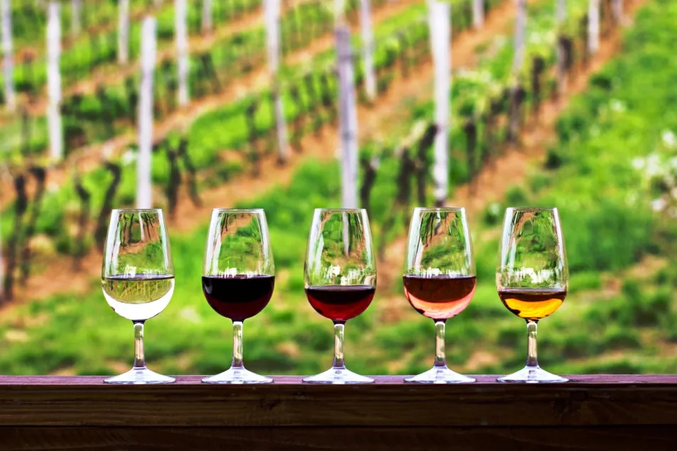 Dégustation de vins au château - photo © iStock-JuliaLototskaya