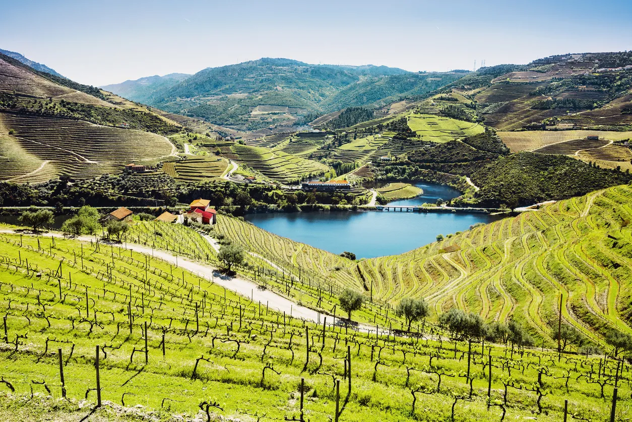 Vignobles dans la vallée du Douro © iStock / Poike