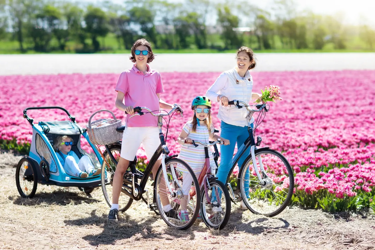 Vélo en famille aux Pays-Bas, près d'un champ de tulipes © iStock / FamVeld