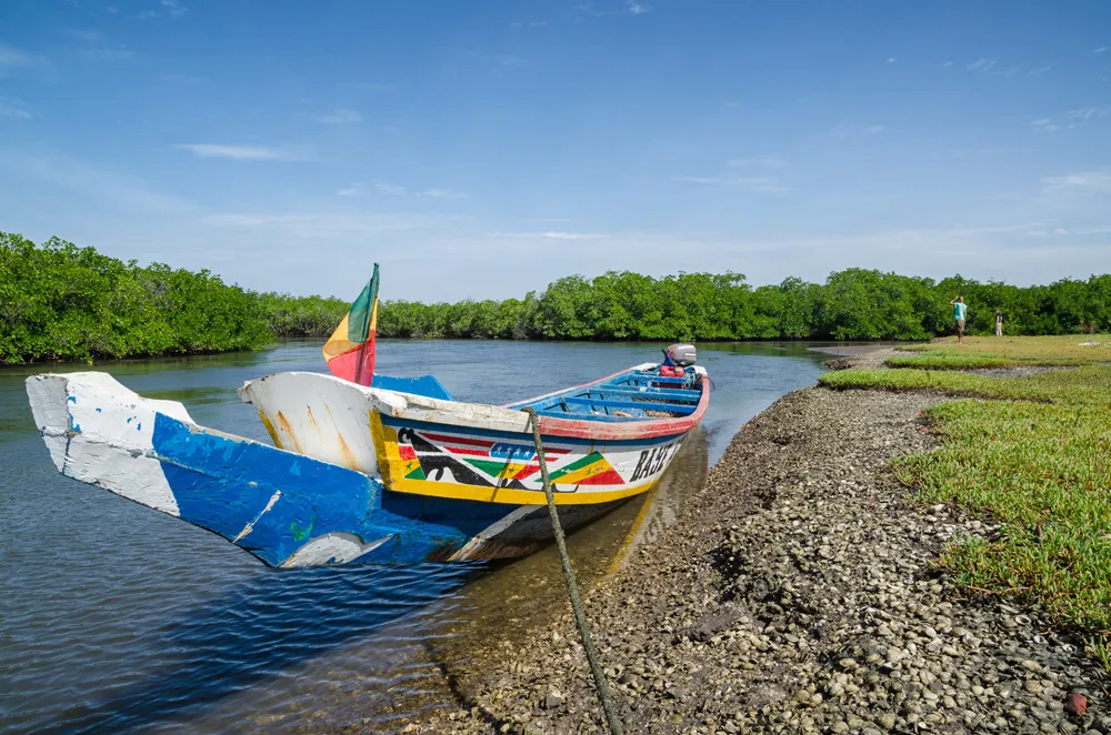 Pirogue ou bateau coloré en bois amarré dans la mangrove du delta du Sine Saloum, Sénégal, Afrique |