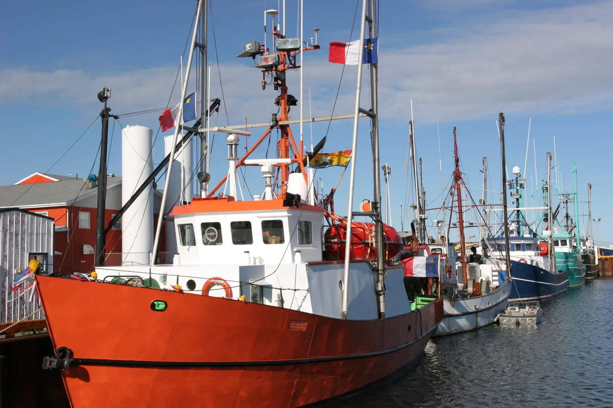 Bateaux de pêcheurs au port de Caraquet, Acadie, Nouveau-Brunswick  ©  iStock / Vladone