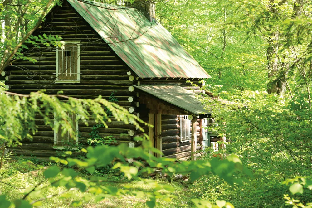 Cabane en bois  
Photo © iStockphoto - Dan Brandenburg  
