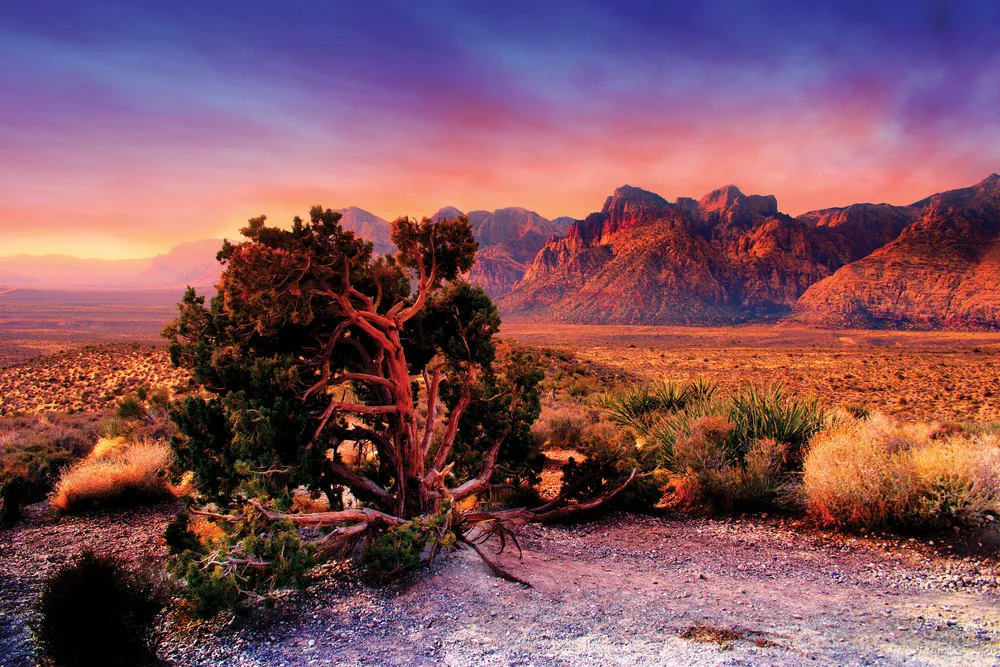 La Red Rock Canyon National Conservation Area.  | © iStockphoto.com/coleong
