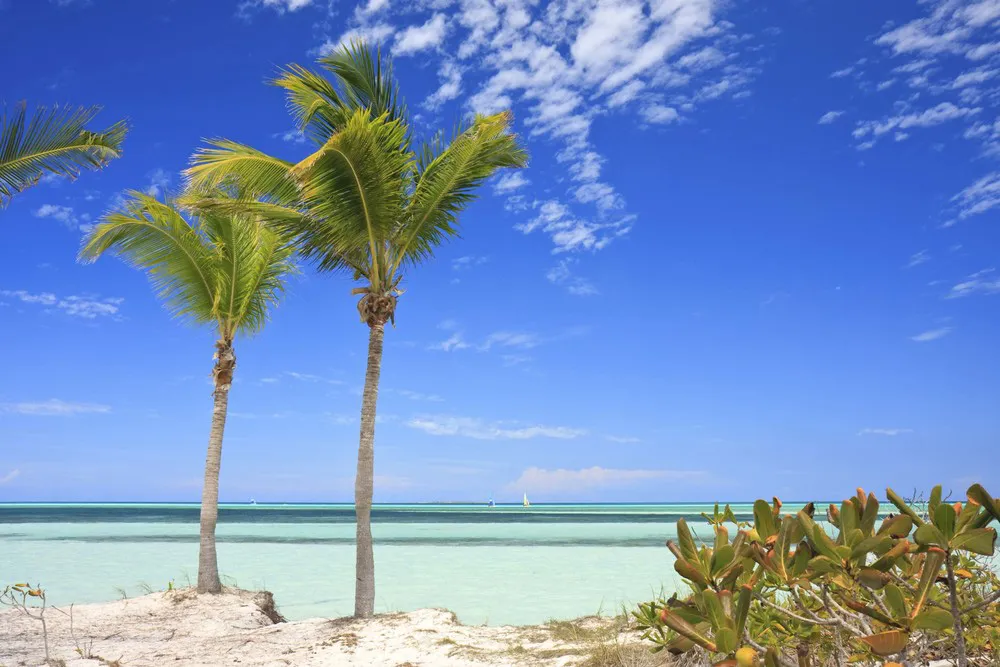 Le décor paradisiaque de Cayo Guillermo.  | © iStockphoto.com/cunfek