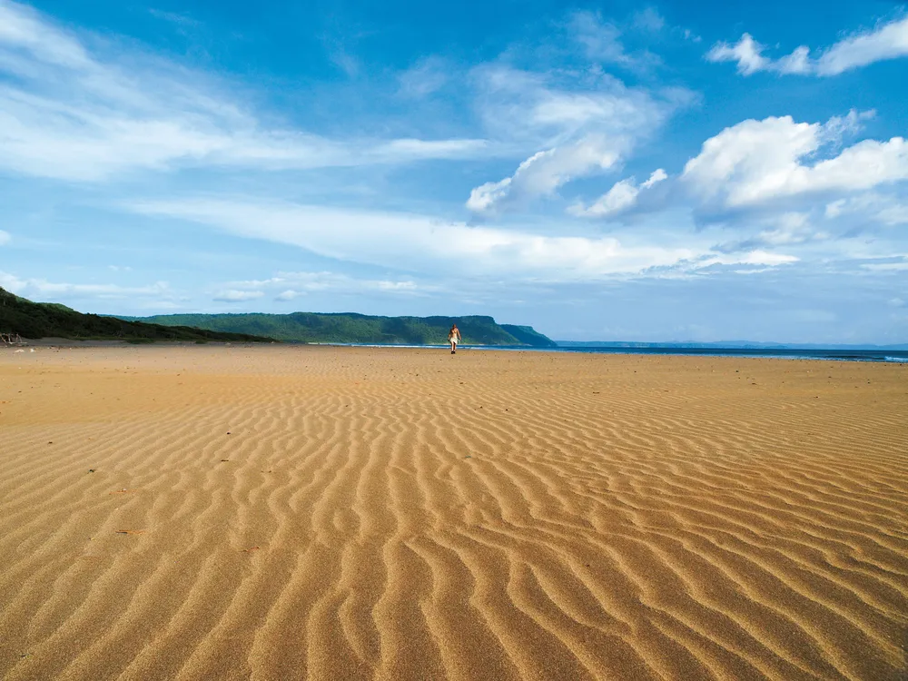 Une plage dans le Parque Nacional Santa Rosa.	©iStockphoto/Focus_on_Nature
