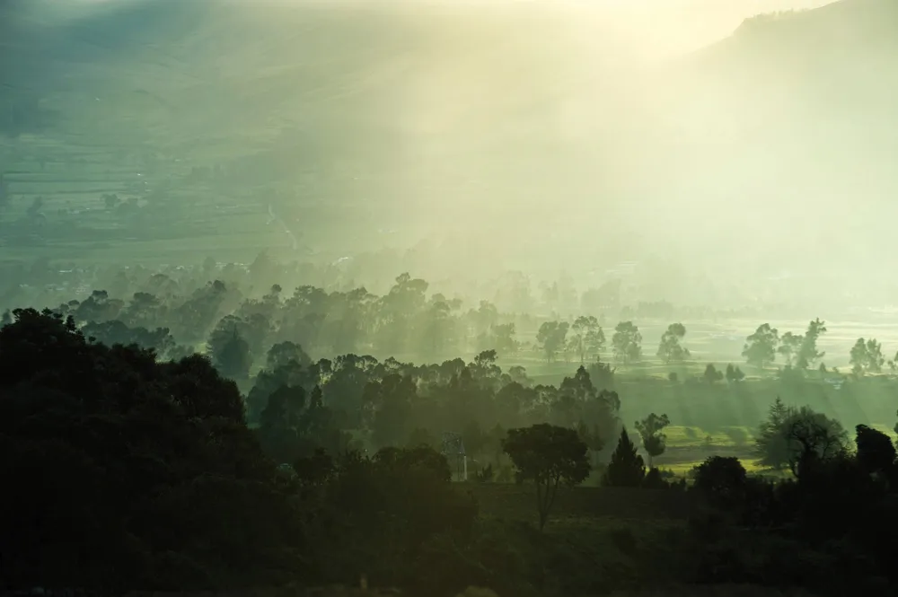 La forêt équatorienne de l’Oriente | © iStockphoto.com/Kseniya Ragozina