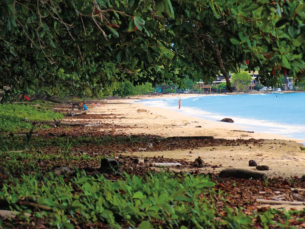 Playa Blanca, dans le Parque Nacional Cahuita. © iStockphoto / vilainecrevette