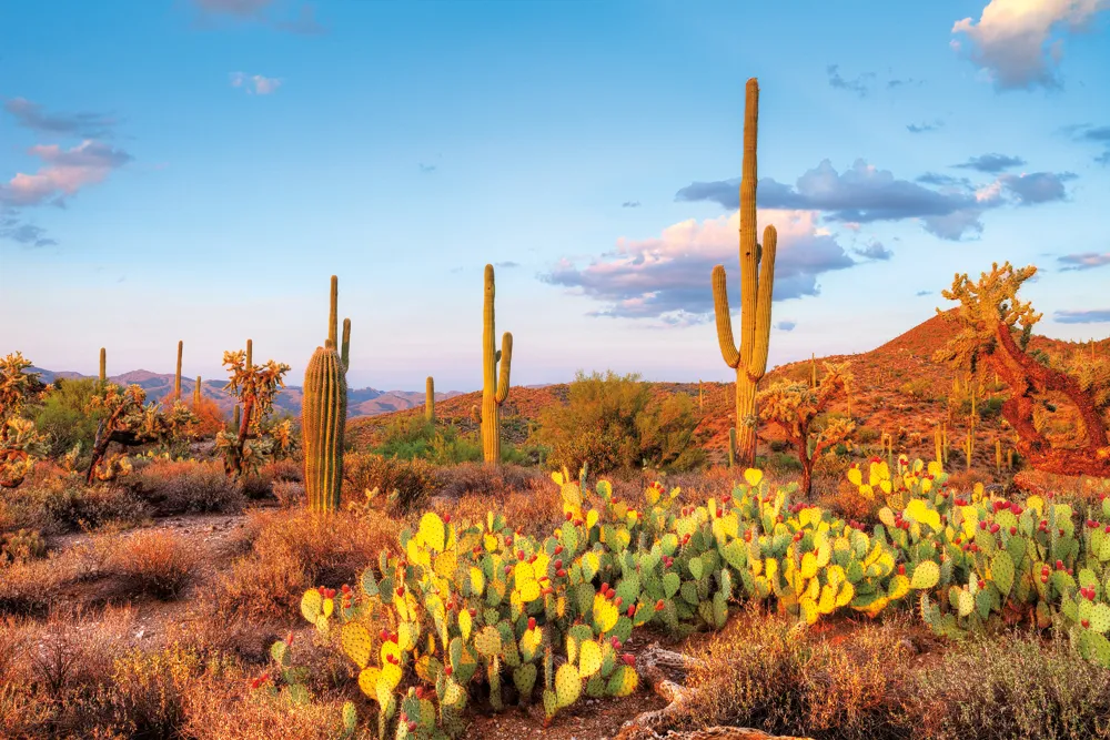 Arizona. ©iStock/tonda 