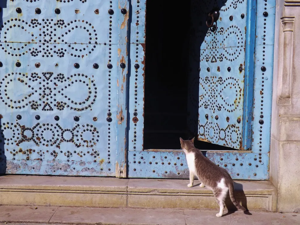 Médina de Tunis | iStockphoto.com/utamaria