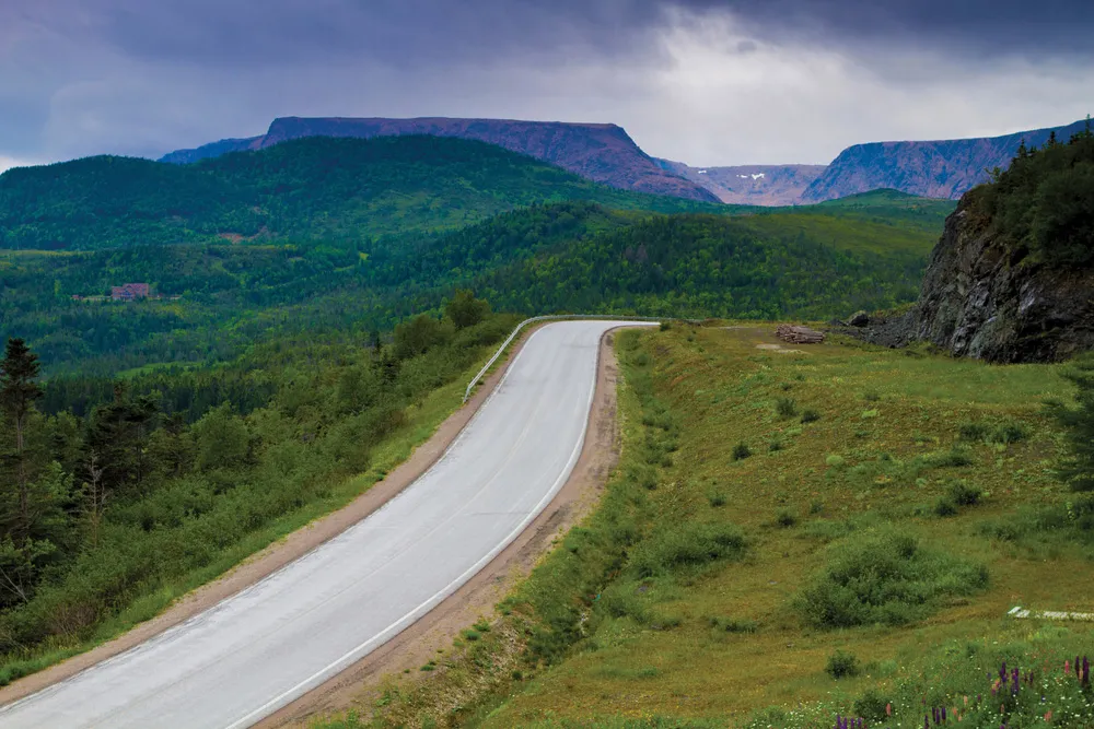 © iStock/ GeorgeBurba