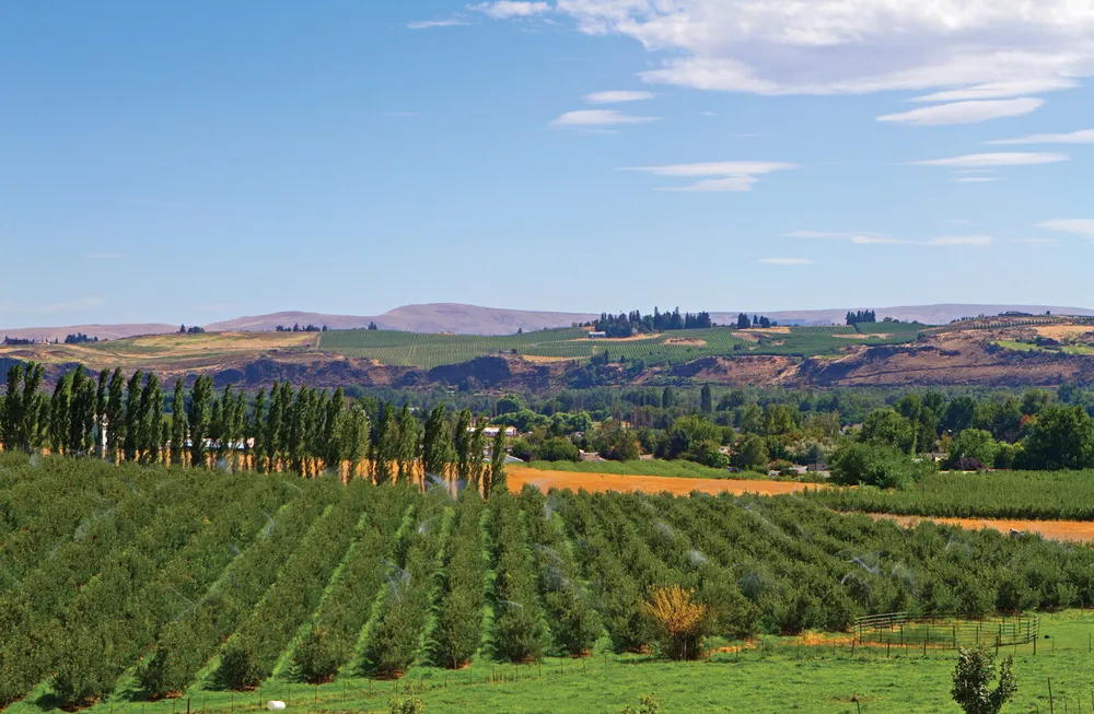La Yakima Valley. ©iStockphoto.com/BehindTheLens