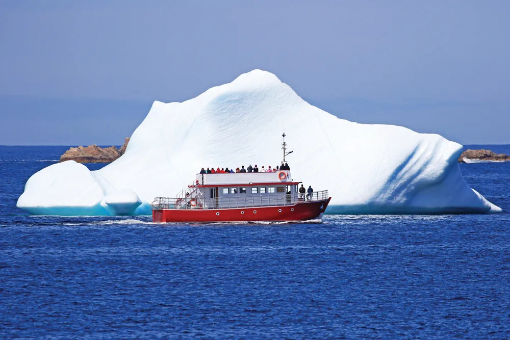 L’observation des icebergs au large de Twillingate | © iStock/Frank Leung