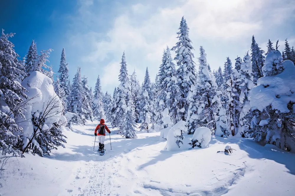La randonnée en raquettes dans la neige poudreuse
Photo © iStockphoto - Onfokus