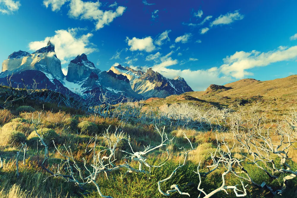 Le Parque Nacional Torres del Paine, Chili | iStockphoto.com/pawel.gaul