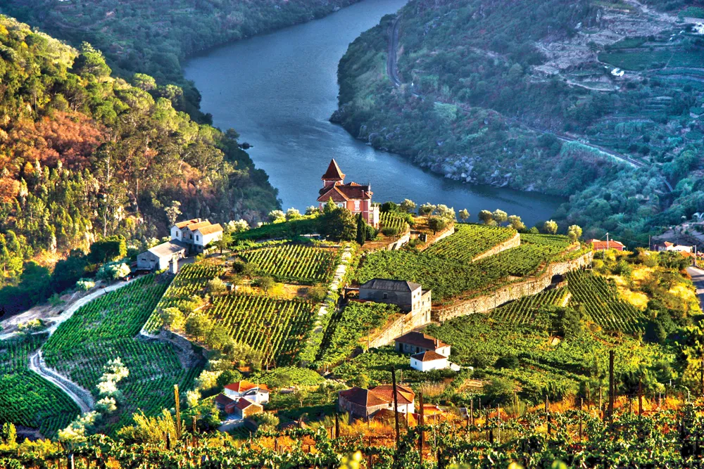Vallée du Douro, Portugal©iStockphoto/LuisPortugal