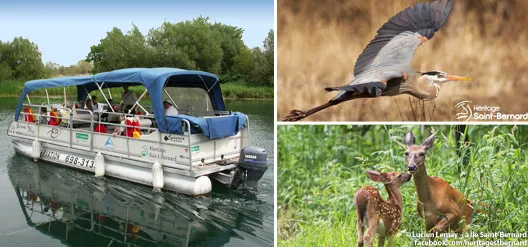Île Saint Bernard | ©Lucien Lemay