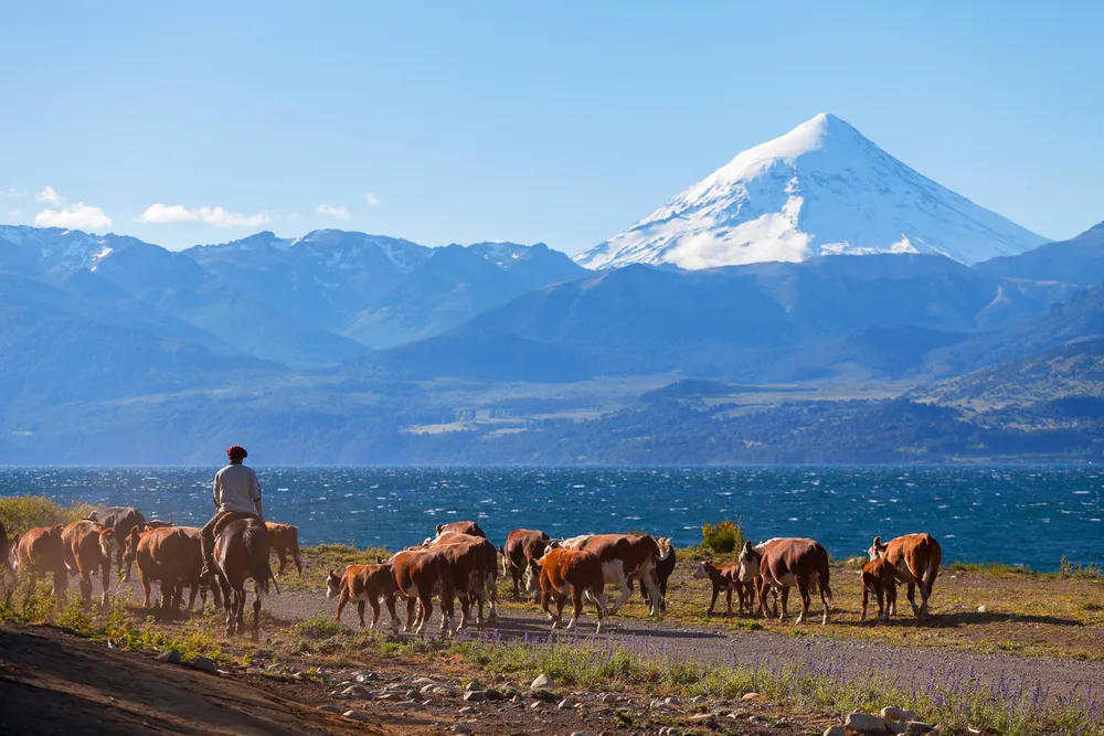 Le Volcan Lanín, en Patagonie. | ©  Shutterstock.com/sunsinger