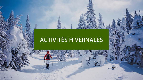 Guides de plein air : activités hivernales